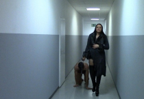 Gassi gehen im Hausflur HD Video